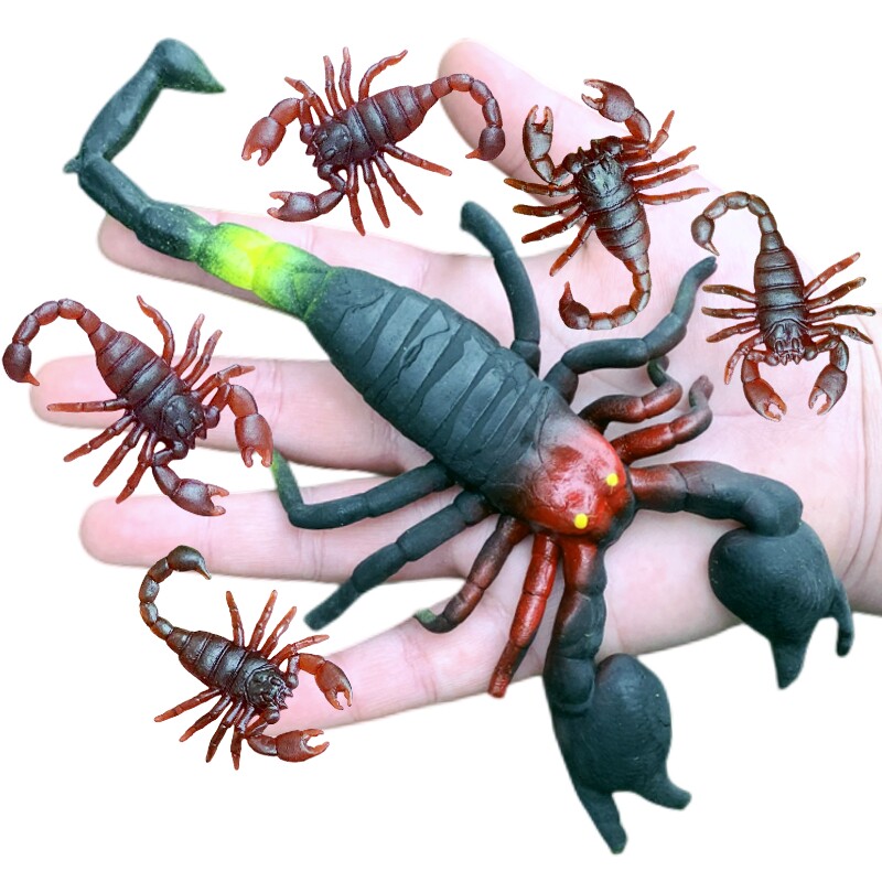 软胶仿真大小蝎子恶搞整人幼儿园儿童认知玩具静态假昆虫动物模型