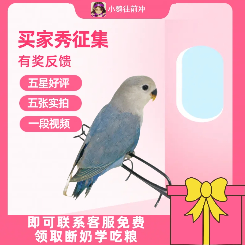 买家秀征集 评价截图联系客服【勿拍，单拍不发货】