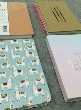 正版 Bershka周记事本笔记本 西班牙柏士卡巴适卡插画