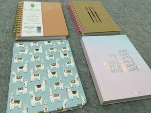 正版 Bershka周记事本笔记本 西班牙柏士卡巴适卡插画