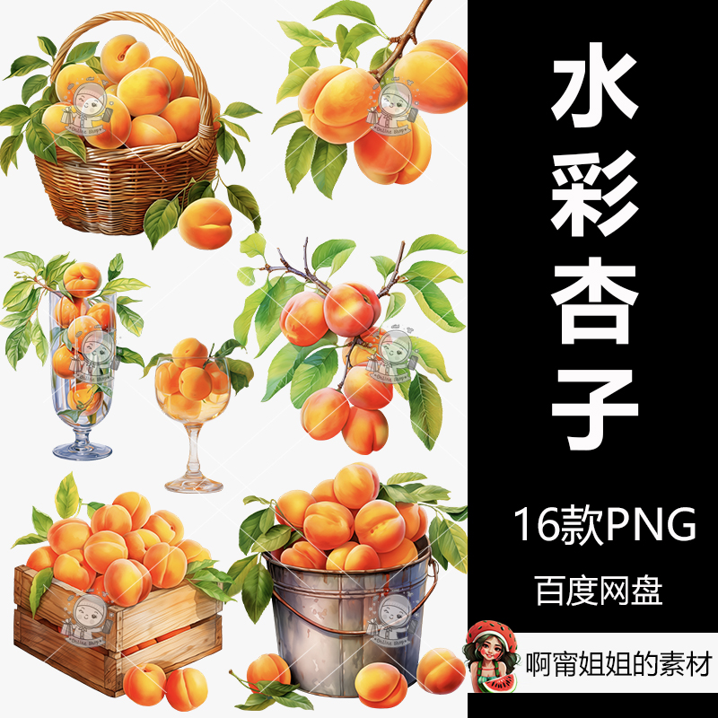 杏子水彩剪贴画手绘装饰剪贴画水果插画PNG免抠设计素材高清新品图片