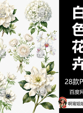 水彩白色婚礼花卉素材剪贴画手绘水彩装饰插图PNG免抠设计素材新