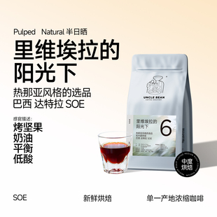豆叔精品咖啡夏季冰咖啡专用咖啡豆巴西达特拉半日晒SOE 227g中烘