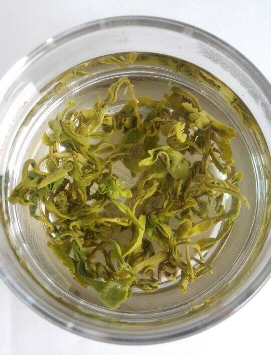 2023新茶浓香耐泡超龙井茶高山绿茶 嵊州上坞山辉白茶越乡辉白茶