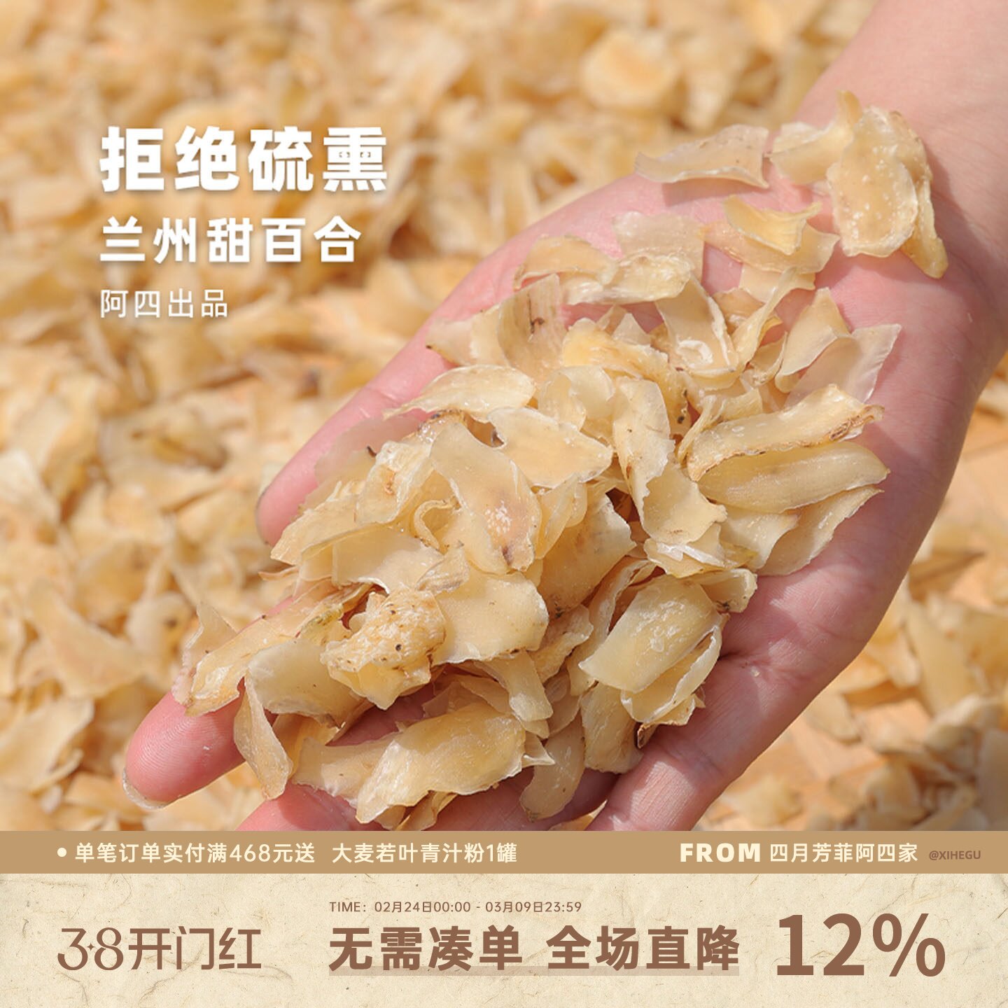 阿四出品|新货兰州甜百合干一定要买没有硫熏的 新鲜农家干货200g