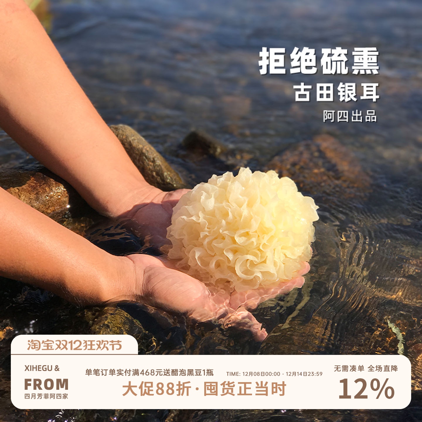 阿四出品农家古田银耳干货莲子羹