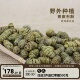 阿四出品铁皮石斛枫斗中草药材非霍山100克泡茶煮水煲汤