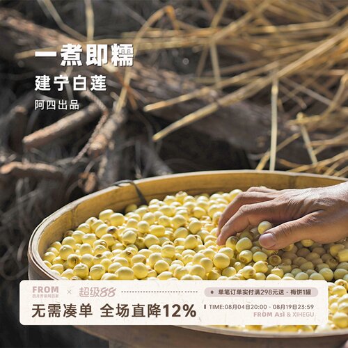 建宁白莲子，手剥不磨皮