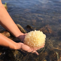 SI, произведенный Farmhouse Gutian Tremella Dry Goods Белый грибок клейкий уш
