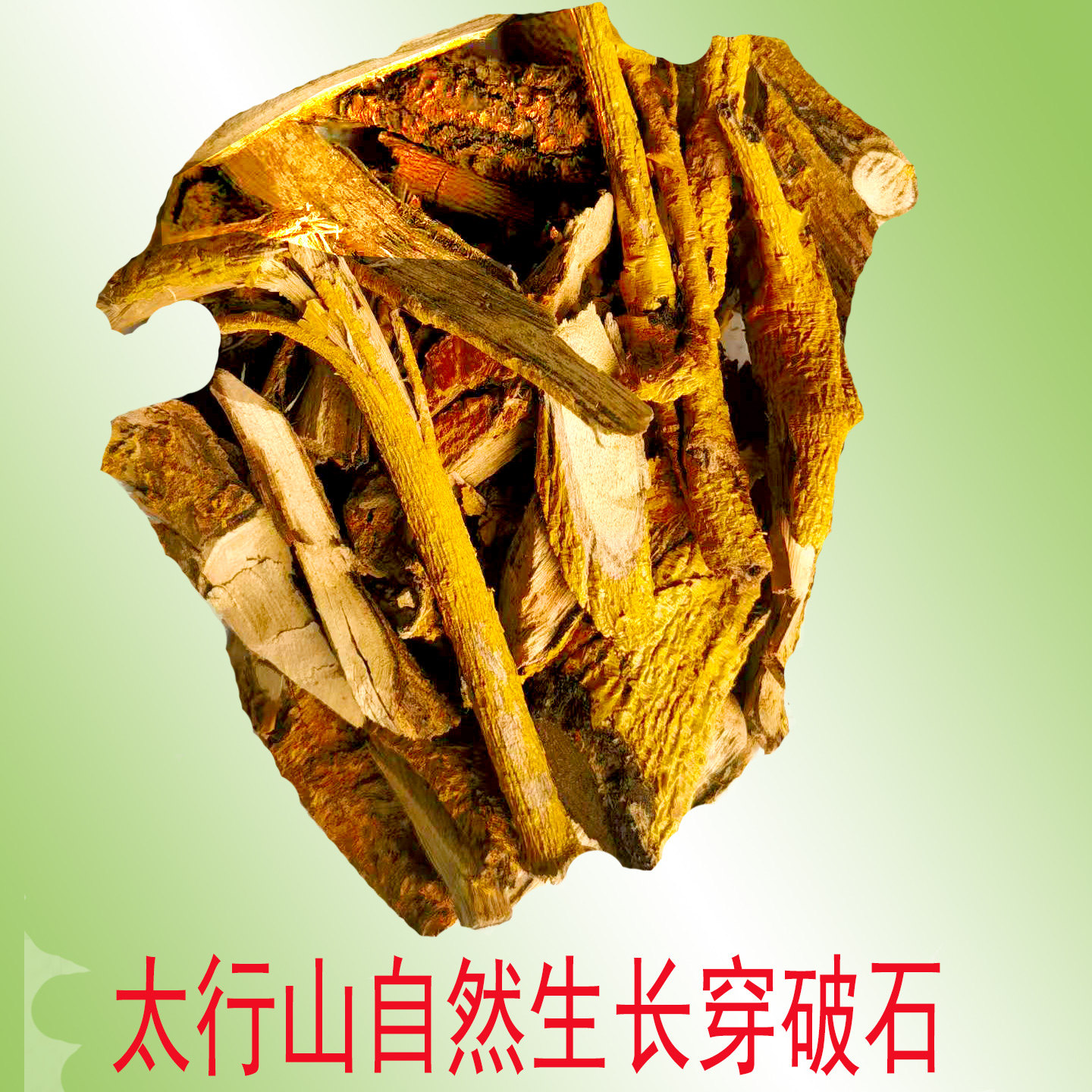 穿破石柘树根黄龙脱袍九层皮太行山野生中药材自采自销产地直接发
