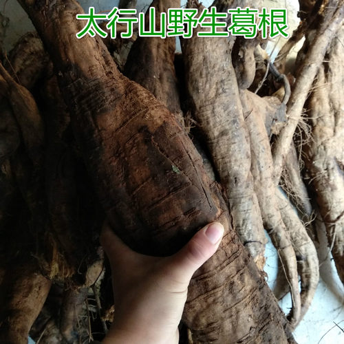 柴葛根葛根片太行山十泡水喝野生