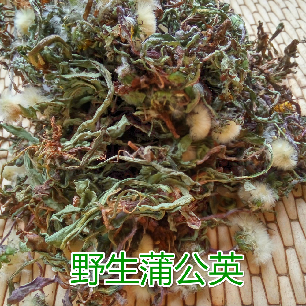 2026年新产野生蒲公英婆婆丁太行山产带根带花全草中药材阴干色绿