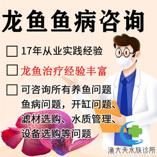 龙鱼医生红龙鱼金龙鱼银龙水霉蒙眼拒食爬缸鱼病咨询鱼病医师