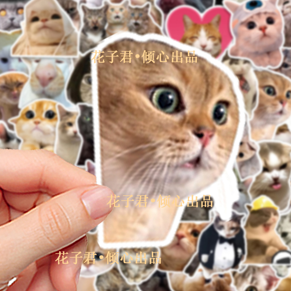 100张写实小猫贴纸ins风可爱搞怪趣味表情包装饰手账桌面文具贴画