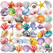 112张小清新海洋贝壳PET贴纸ins高清精美装 饰笔记本手账防水贴画