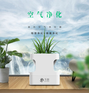 盆栽植物空气净化器桌面小型家用卧室去除异味空气清新