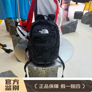 北面THE NORTH FACE 10L拉链开合可调节肩带双肩包户外包NF0A52SW