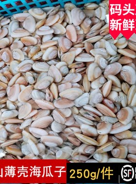 东海舟山野生无沙大海瓜子薄壳新鲜鲜活水产小蛤蜊白瓜子贝类250g