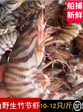 舟山竹节虾野生新鲜特大花虾九节虾斑节黑虎虾鲜活水产10-12只1斤