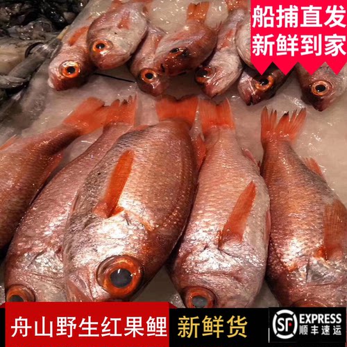 舟山大红果鲤鱼东海野生深海赤鯥鱼红鱼日料孕妇喉黑鱼5两-1斤1条
