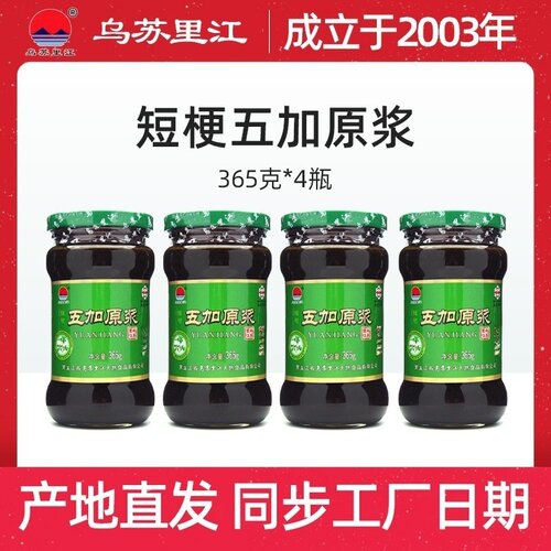 新带刺五加同属乌苏里江