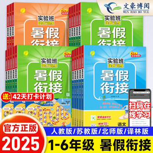 2025秋新版实验班暑假衔接作业一升二升三升四升五升六年级上下册语文数学英语全套人教版北师青岛江苏教版同步教材作业本提优训练