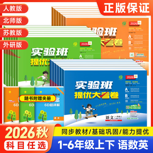实验班提优大考卷小学
