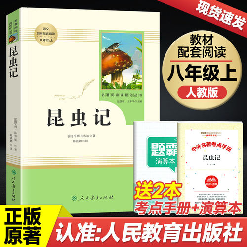 现货速发 赠运费险 售后无忧