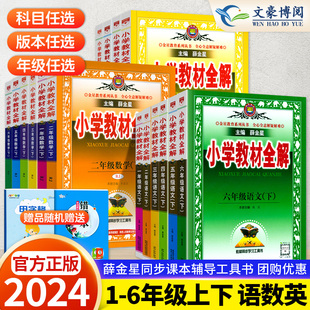 小学生语文数学英语课本解读解析课堂笔记课前预习训练题练习册 2024春薛金星小学教材全解一二三四五六年级上下册人教版 北师苏教版