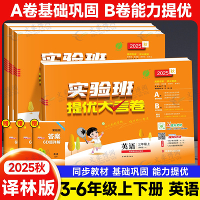 实验班提优大考卷小学