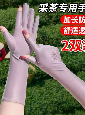快递薄款茶叶专用防晒手套