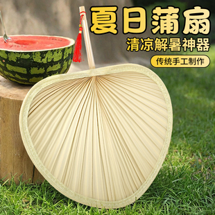 扇子夏季 大蒲扇老式 舞蹈手工芭蕉扇儿童婴儿驱蚊家用便携凉快扇子