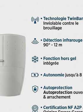 DAITEM 17121F Dtecteur Volumtrique Miniature 12m IR FRA