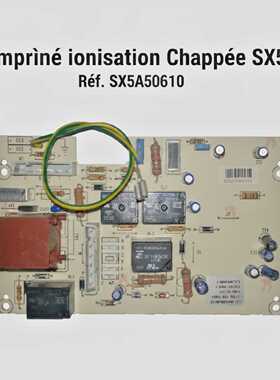 Chappee Circuit imprime ionisation SX5650610