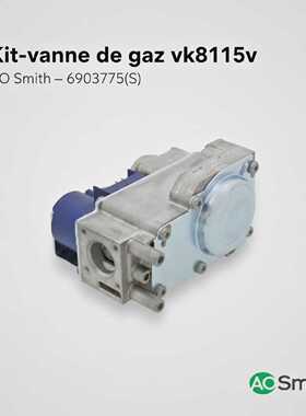 Aosmith Kitvanne de gaz vk8115v 6903775S