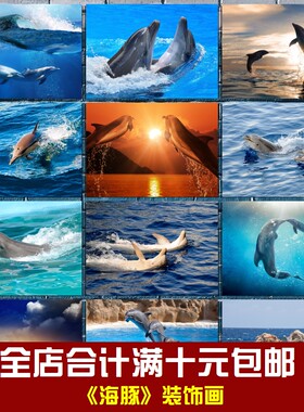 海豚海报海洋动物相框墙画贴画挂画儿童卧室书房学校海洋馆装饰画
