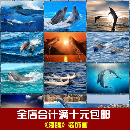 海豚海报海洋动物相框墙画贴画挂画儿童卧室书房学校海洋馆装饰画