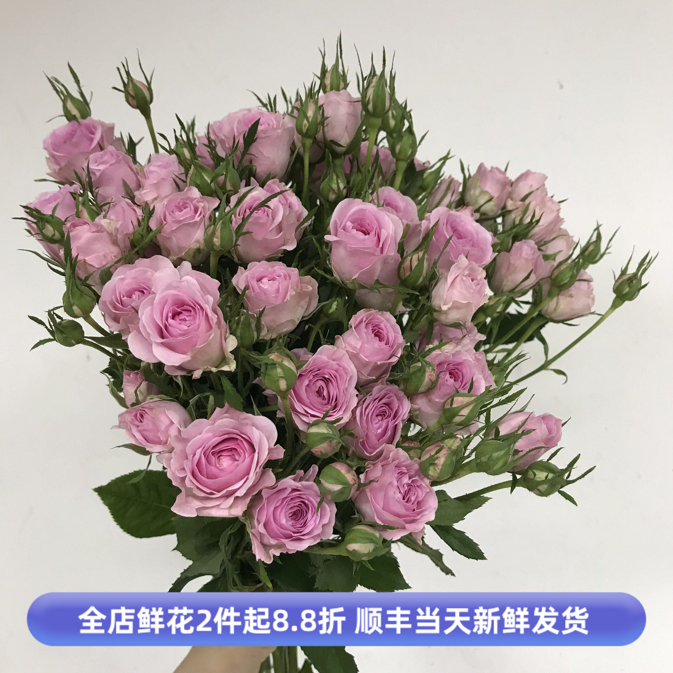 多头粉色小玫瑰花瓶插花暗恋蔷薇
