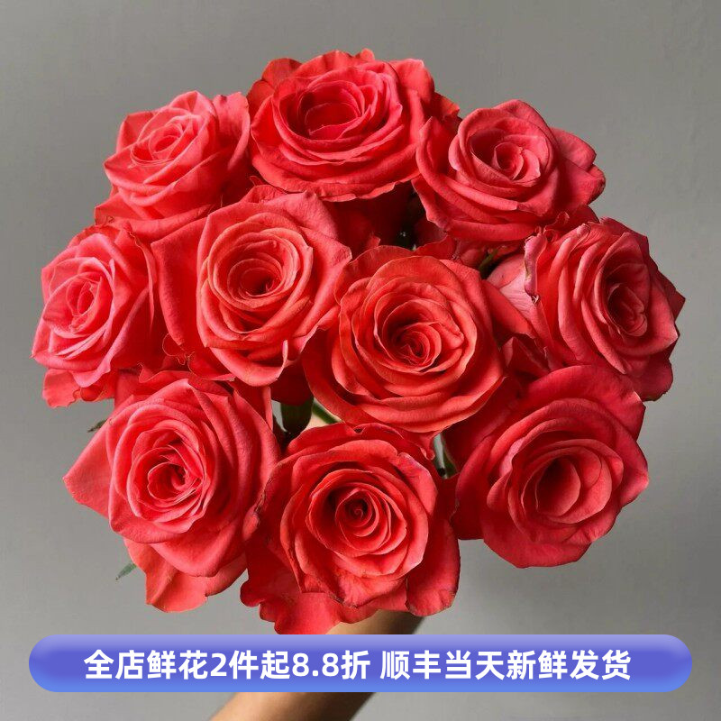 召唤玫瑰花水养大朵鲜切月季花女神节鲜花速递送闺蜜生日礼物包邮