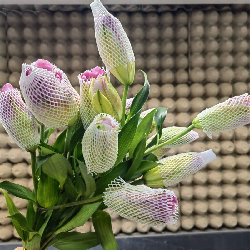 重瓣百合鲜切花双头香水百合花水培家庭办公室花瓶插花礼佛香味浓