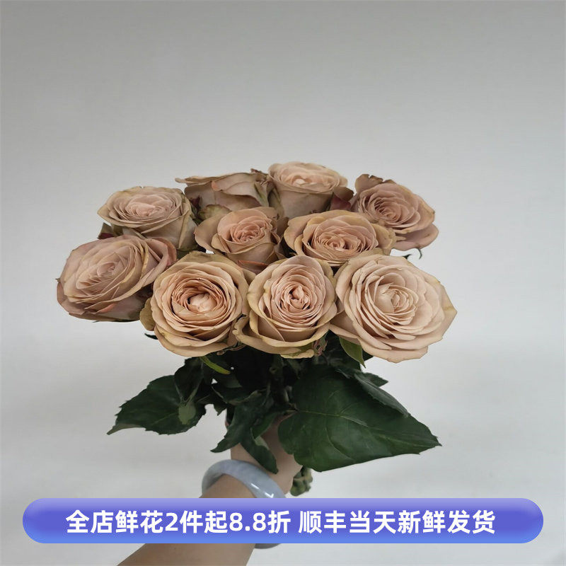 卡布奇诺复古鲜花大朵鲜切月季花卉家用插花情人节生日同城速递花