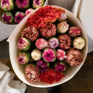 单头混色康乃馨七彩色鲜花送妈妈长辈礼物水养家庭办公室摆花包邮