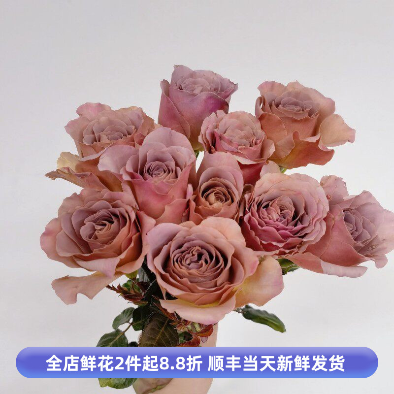 咖啡拿铁玫瑰花复古月季花水养鲜花家庭瓶插花情人节花束同城速递