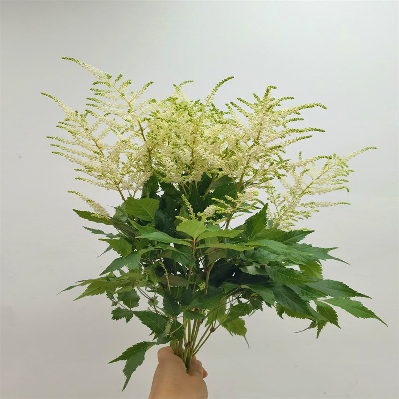 进口泡盛白色络新妇新娘手捧花