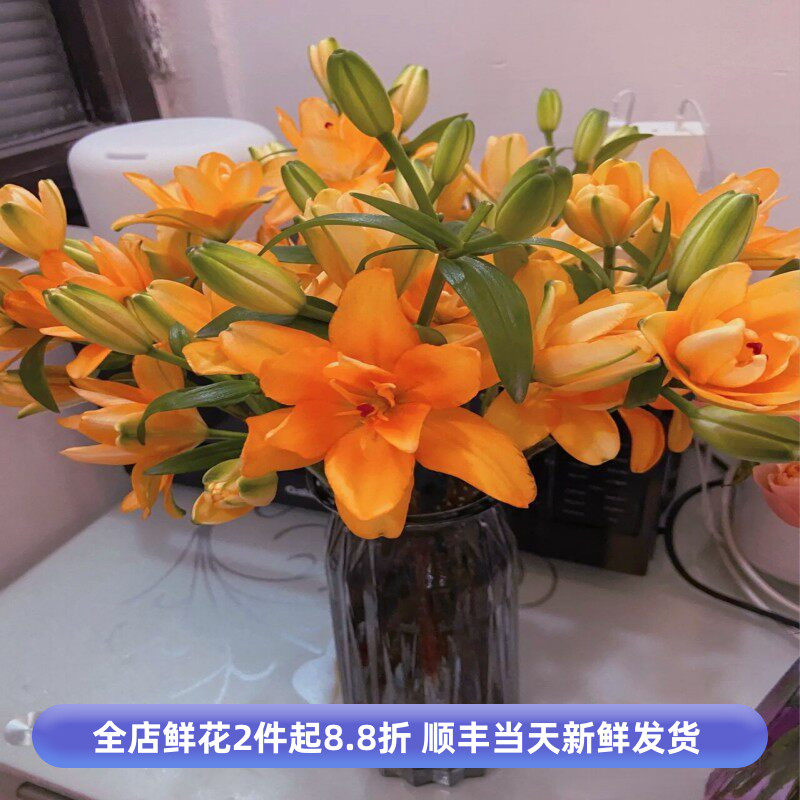 重瓣多头百合小蜂蜜迷你