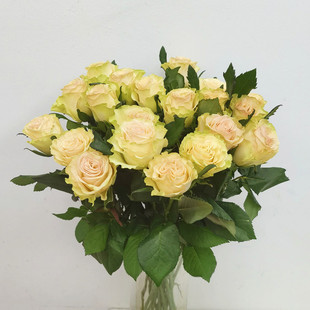 琉璃翠玫瑰花室内水养插花大朵鲜切月季花情人节花束同城鲜花速递