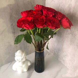 珍爱玫瑰花水养大红鲜切月季花卉送女朋友生日礼物情人节鲜花速递