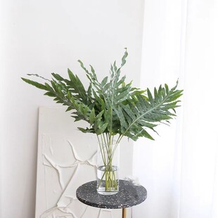 蓝星玉龙骨鲜切叶贯众蕨鲜花网红叶水养蓝星蕨摆拍造型叶材同城花