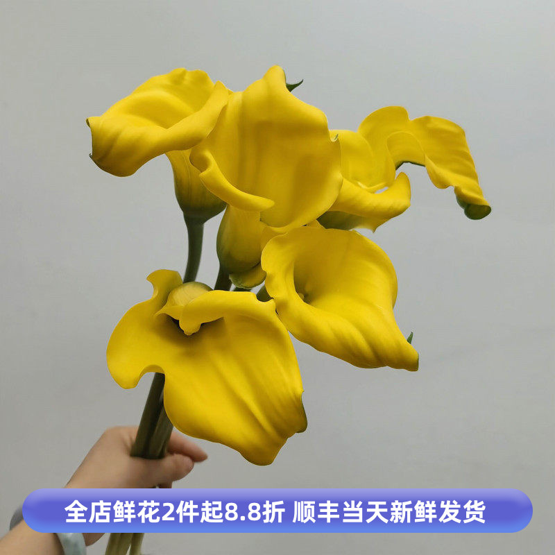 黄色马蹄莲海芋鲜切花婚礼手捧花