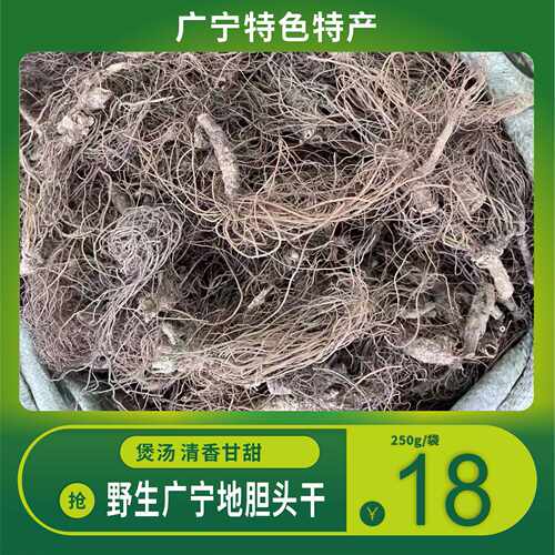 野生广宁地胆头新鲜干货煲汤料
